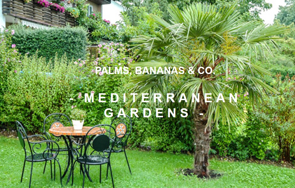 mediterrane Gärten